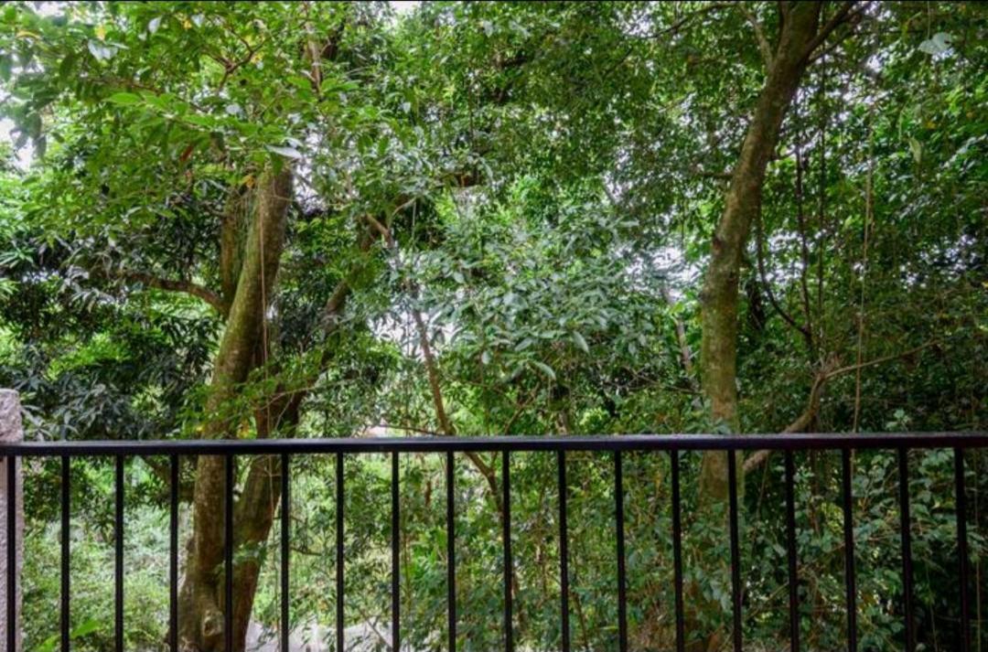 Santa Teresa Junto A Natureza Rio de Janeiro Ngoại thất bức ảnh